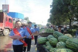 文安县网红吃瓜事件真相,真相背后引人深思