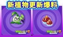 最新 植物爆料视频下载,最新爆料视频下载解析