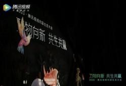 雾中人形生物爆料视频,揭秘神秘人形生物神秘面纱