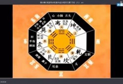 八卦爆料玩法视频教程下载,轻松掌握八卦奥秘