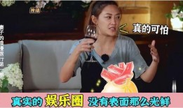 何炅爆料娱乐圈真相,何炅揭露不为人知的幕后秘密