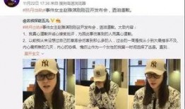 陈力铭爆料新闻事件,揭秘新闻事件背后真相