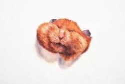 甜过巧克力在线观看,浪漫邂逅，甜蜜回忆
