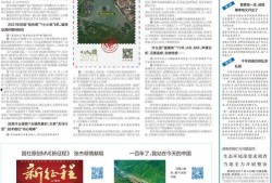 新华社新闻爆料电话,揭秘新闻爆料电话背后的真相