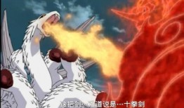 火影忍者老大爆料视频大全,揭秘老大爆料视频大全，独家揭秘忍界风云